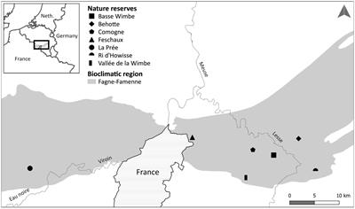 Success of passive and <mark class="highlighted">active restoration</mark> of lowland hay meadows with regard to current and historical references